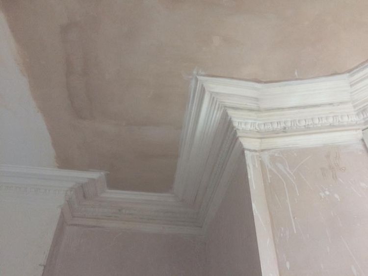 Examples of Detailed Cornicing and Plastering